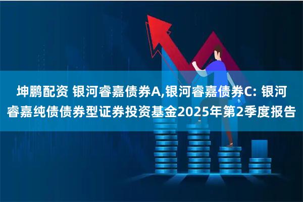 坤鹏配资 银河睿嘉债券A,银河睿嘉债券C: 银河睿嘉纯债债券型证券投资基金2025年第2季度报告