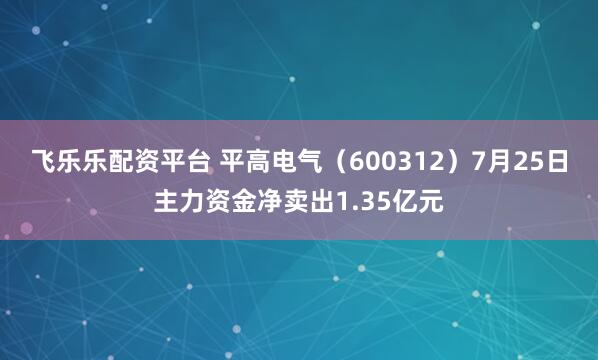 飞乐乐配资平台 平高电气（600312）7月25日主力资金净卖出1.35亿元