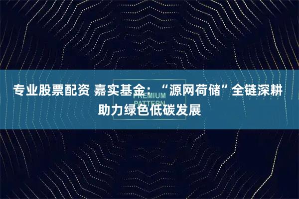 专业股票配资 嘉实基金：“源网荷储”全链深耕 助力绿色低碳发展